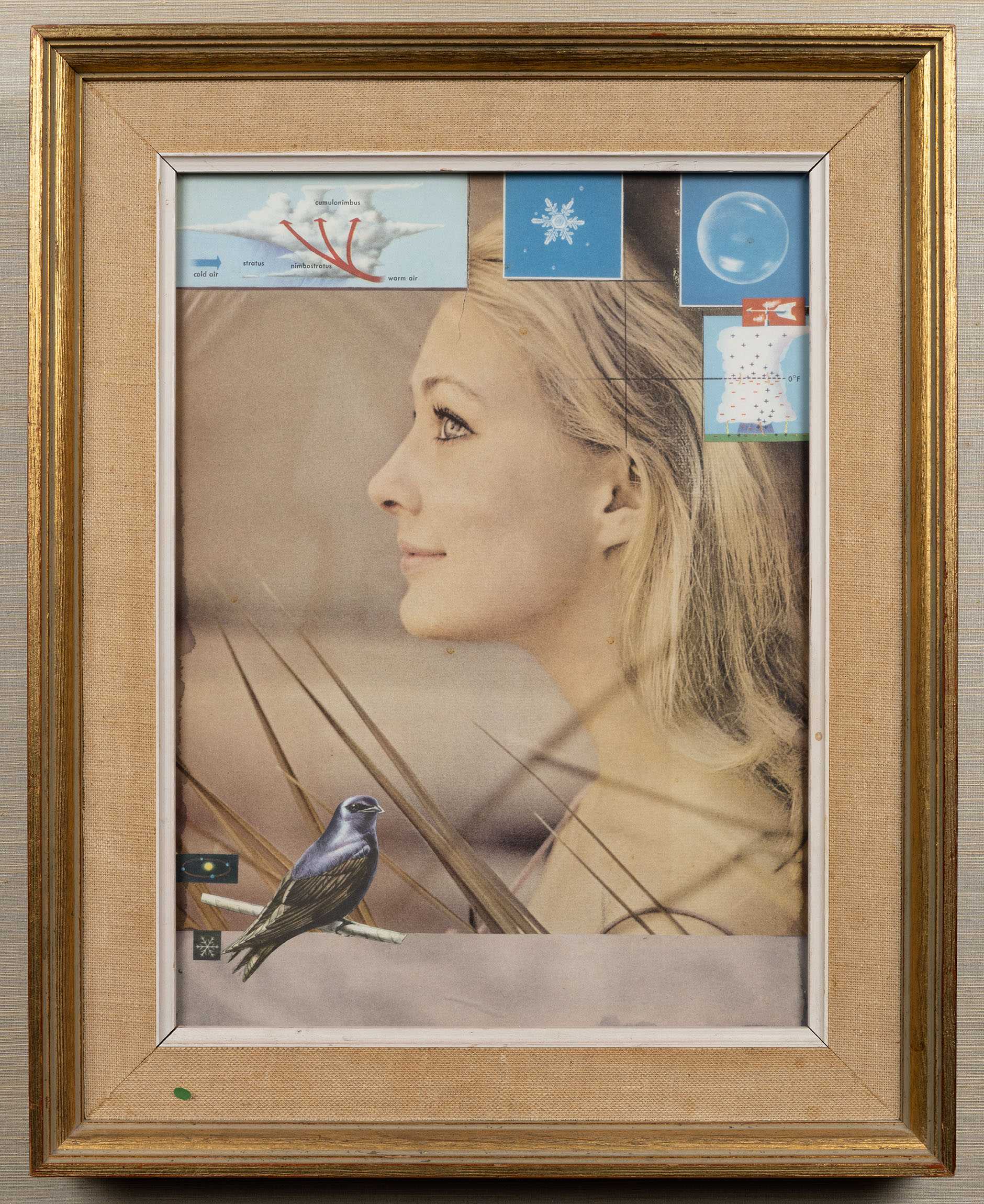 picture for Joseph Cornell
