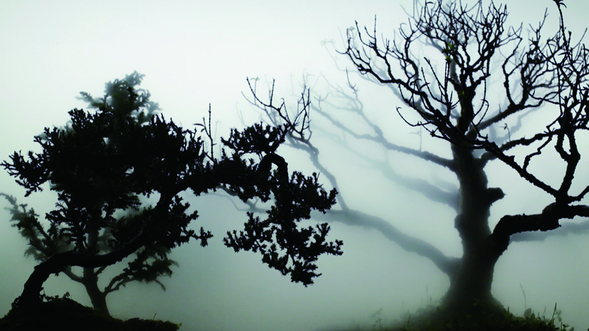 picture for Landscape in the Mist 001, 2012