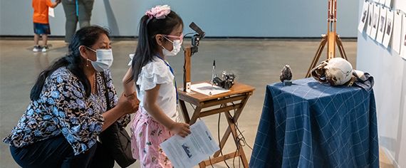 Events · Katonah Museum of Art